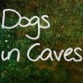 Dogs in Caves Gig Overview 